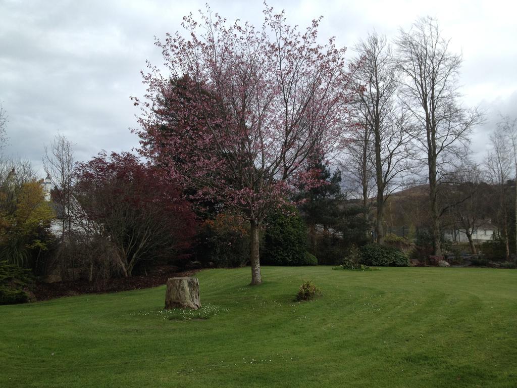 Raheen House Hotel Clonmel Eksteriør bilde